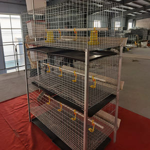 Nuova Gabbia per Polli da Carne Tipo H 2026, <span class=keywords><strong>3</strong></span> Livelli, 2 Porte, con Struttura per 72 Polli - Product Image 2