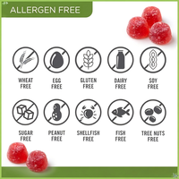 Gummies OEM au thé vert pour brûleur de graisse et antioxydant avec cétone de framboise, marque privée, vente en gros, source d'exportation