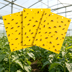 Trappole Adesive in Gel Giallo Ecologiche e Sicure con Basso MOQ per Serre, Frutteti e Allevamenti - Product Image 1