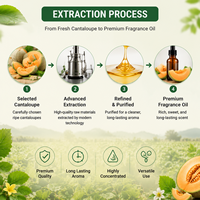 Huile parfumée en gros à l'arôme de cantaloup pour la fabrication de rouges à lèvres, bougies, savons, parfums DIY, diffuseurs d'arômes, huile essentielle en vrac