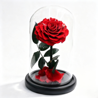 Rose éternelle artisanale préservée sous cloche en verre avec boîte cadeau pour Thanksgiving, Noël ou décoration d'événements