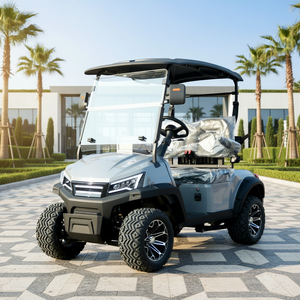 Новый 2-местный экскурсионный автобус охотничий клуб гольф-кар электрическая Гольф-кар - Product Image 1