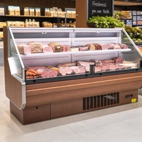 Vitrine Réfrigérée Commerciale Double Couche pour Viande Fraîche, Refroidissement par Air, Vitrine en Verre, Température Unique, Comptoir pour Boucherie