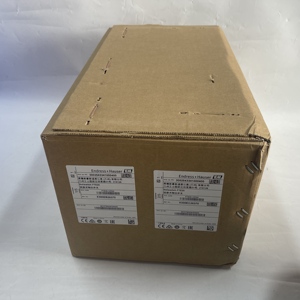 Endress+Hauser Type de produit Indéfini FTE20-1270/0 - Product Image 1