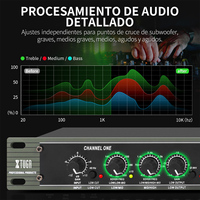 XTUGA 234XL Équipement Périphérique Audio Professionnel Stéréo 2/3 Voies Mono 4 Voies 234XL avec Connecteur XLR, Crossover Égaliseur Audio