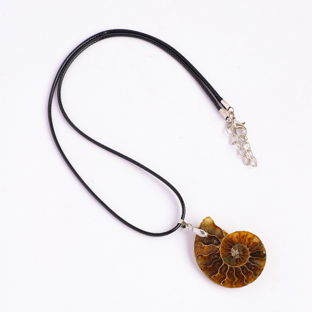 Ammonite Fossil Slice Pendant