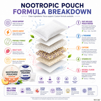 Pochettes buccales nootropiques OEM ODM saveurs fruitées à la vitamine B12 – Soutien portable pour la mémoire et la concentration – Santé quotidienne de l'adulte