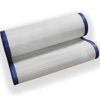 Maille filtrante en polyester haute résistance, résistante à l'abrasion et imperméable pour presse à filtre à bande - Vente en gros usine