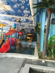 Personnalisation d'algues artificielles de haute qualité cocotiers <span class=keywords><strong>palmiers</strong></span> pour hôtel <span class=keywords><strong>villa</strong></span> 5 étoiles projet d'ingénierie de la pièce d'eau - Product Image 5