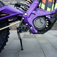 Véhicule tout-terrain professionnel Surron Light Bee X, motocross, 60V 40Ah 8000W 266N.m, autonomie de 75 miles, terrain accidenté