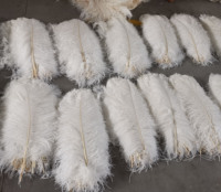 Plumes d'autruche blanches de 45-50 cm, en vrac, pour costumes de carnaval, grandes plumes violettes, pour la décoration de mariage
