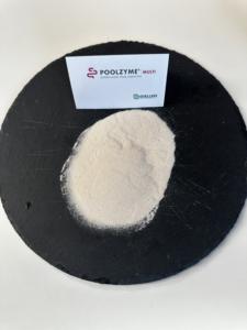 Excelente diseño Poolzyme Suplemento dietético múltiple que acelera una variedad de reacciones biológicas - Product Image 4