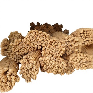 Corde tressée en jacinthe d'eau 100% naturelle, idéale pour l'artisanat et la décoration, fabriquée au Vietnam, modèle Long an 99 Gold Data Luna - Product Image 1