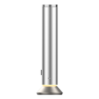Diffuseur de parfum professionnel de luxe, sans eau, rechargeable, alimentation USB avec télécommande