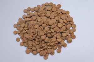 OEM Özel Marka Köpek Kuru Maması Yüksek Kalite Yüksek Proteinli Organik Cilt ve Tüy Sağlığı Tüm Yaşlar İçin - Product Image 2