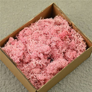 มอสตกแต่งโต๊ะต้นไม้กระถางมอสตกแต่งบ้านศิลปะตกแต่งบ้าน - Product Image 4