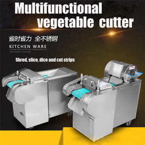 Mesin Pemotong Sayuran Dua Kepala untuk Memotong Dadu, Iris, dan Menghaluskan, Peralatan untuk Pengolahan Buah di Pabrik Pengolahan Buah - Product Image 2