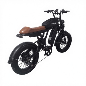 Bicicleta Eléctrica Urbana de Montaña de Estilo Retro, de Una Velocidad, con Motor sin Escobillas, Asistencia al Pedaleo, Neumático Grueso de 20 Pulgadas, Batería de Litio Integrada - Product Image 6