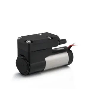 3000 ml/Min flusso silenzioso pompa a membrana elettrica personalizzata a bassa potenza piccola pompa ad aria DC campionamento Mini pompa