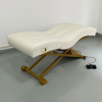 Table de massage moderne de haute qualité, lit de spa cosmétique électrique à 1 moteur, fauteuil facial, lit de beauté pour salon