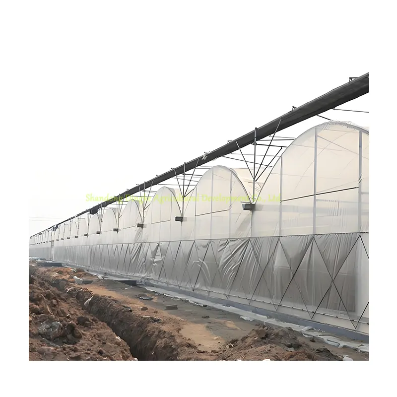 Grande completa serra tunnel agricolo Tunnel pellicola di plastica serra tetto serra serra serra