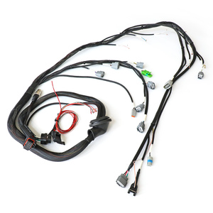 कस्टम ऑटो वायर हार्नेस 100/120/150/200/300/350/400 मिमी 2*0.5 mmm² 2*0.5 mm² 2*0.5 2*1.5 mm² 2*2.5 mm² कार तार दोहन - Product Image 2