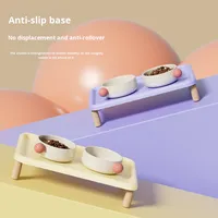 Table de repas portable en céramique pour chat et chien, avec support surélevé anti-fuite et bols pour nourriture/eau