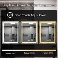 Miroir de salle de bain intelligent LED étanche, miroir de maquillage moderne anti-buée, luminosité réglable, éclairage tactile, éclairage intégré, hôtel