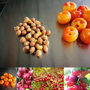 Bằng sáng chế sản phẩm ouli cerasus humilis lùn mận Cherry pitter máy - Product Image 3