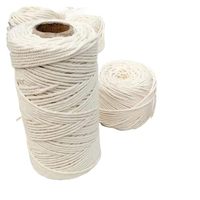 Cordon en coton naturel torsadé, corde pour travaux manuels, tricotage, fabrication de suspensions pour plantes