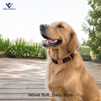 Collier pour chien en velours doux avec boucle en or rose et anneau en D, collier pour animaux de compagnie en peluche réglable pour chiens de petite, moyenne et grande taille, collier pour chiot