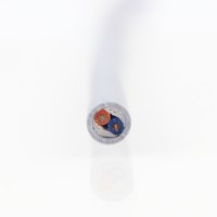 Cable de Control LIBIN Modelo YY 2*2, Conductor de Cobre Sin Blindaje, Aislamiento/Cubierta de PVC, -20C~+70C, Automatización Industrial Completa