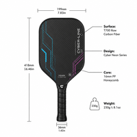 Raquette de pickleball Lingjun style cyberpunk 16 mm en fibre de carbone T700 surface brute Pro, norme USAPA, logo personnalisé, vente en gros