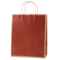 Hochwertige farbige Papiertüten Kraft-Geschenk verpackungs tasche mit Dreh papier griffen