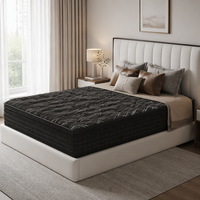Matelas à ressorts ensachés indépendants noirs personnalisables