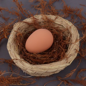 1 Pieza Huevo Saltarín Novedoso para Principiantes, Bolas <span class=keywords><strong>de</strong></span> <span class=keywords><strong>Goma</strong></span> Realistas, Huevo Mágico <span class=keywords><strong>de</strong></span> Gallina para Nido, Juguete para Mascotas - Product Image 5