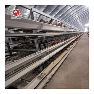 Sıcak satış yetiştiriciliği ekipmanları galvanizli otomatik H şeklinde katman tavuk kafesi - Product Image 1