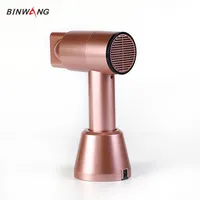 Portable Wireless Hair Dryer with Lithium Battery