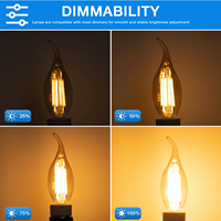 SAA Fancy 2700K Blanc Chaud LED Ampoules Dimmable Edison Bougie Verre Clair C35 avec Source de Lumière SMD E14 Base pour Plafond