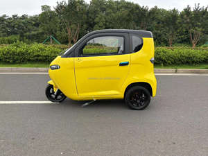 Scooter électrique couvert de haute qualité voiture 2 places sans <span class=keywords><strong>permis</strong></span> moto tricycle électrique - Product Image 4