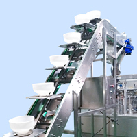 Ligne de production de machines d'emballage pour capsules de lessive liquide en poudre pour lave-vaisselle, sachets/boîtes