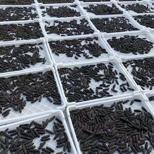 Cetrioli <span class=keywords><strong>di</strong></span> <span class=keywords><strong>Mare</strong></span> Essiccati Liaoshen <span class=keywords><strong>di</strong></span> Dalian, Leggermente Essiccati e Nutrienti, Confezione da 50g, Scatola Regalo - Product Image 1