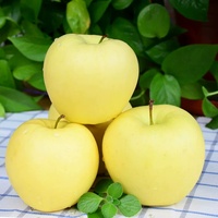 Verse Golden Delicious Appels Premium Geel Fruit Zoete Knapperige Appels Voor Groothandelsimporteurs