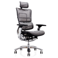 Chaise de bureau en maille de luxe de haute qualité Design ergonomique avec accoudoirs réglables Ordinateur pour les joueurs Pivotant