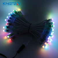 Guirlande lumineuse LED à pixels PVC de haute qualité, décorative, 12 mm, étanche IP67, pour extérieur, Noël, fêtes, jardin