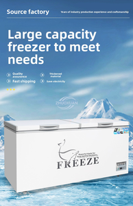 350L Horizontal Freezer with Transparent Lid for Retail Display Use - Product Image 4