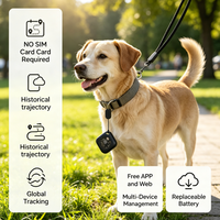 Traceur GPS à batterie remplaçable avec cordon, compatible iOS et Android, gestion par lots, logo personnalisé, choix cadeau, localisateur d'itinéraire historique