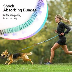 QQPETS Bungee a tracolla guinzaglio per cani regolabile in vita - Product Image 5