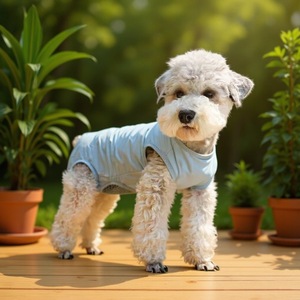 Pet <b>Clothes</b> Breathable Dog <b>Cat</b> Sterilization Suit Summer Wear SMLXLXXL - Product Image 4