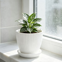 Petit pot de fleurs circulaire moderne en PP avec trous de drainage et plateau – Durable, capacité de 0,61 L, idéal pour la maison, le bureau, le sol, la terrasse, pour les plantes succulentes